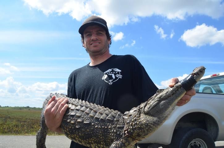 Figure 3. University of Florida biologist Mike Rochford with captured Nile crocodile (Crocodylus niloticus).