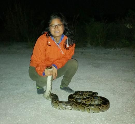 Figure 8. University of Florida biologist Michiko Squires with a captured Burmese python.