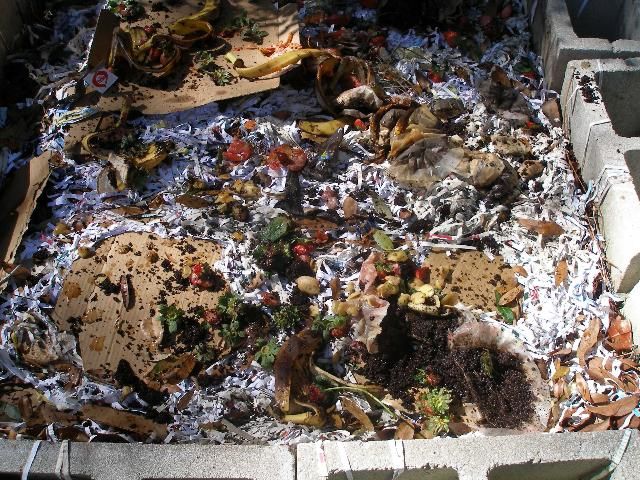 Figure 1. Home compost pile.