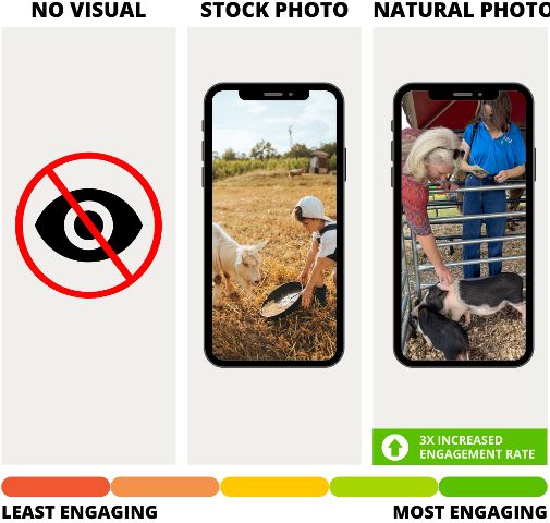 Not including a visual is a missed opportunity for engagement (Doyle & Briggeman, 2014); when possible, use a natural photo to maximize engagement rate.  